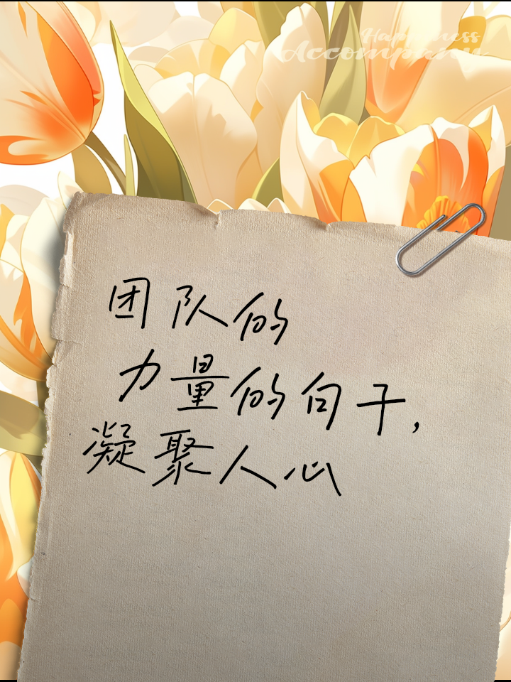 集体表现：球队整体表现彰显团队力量
