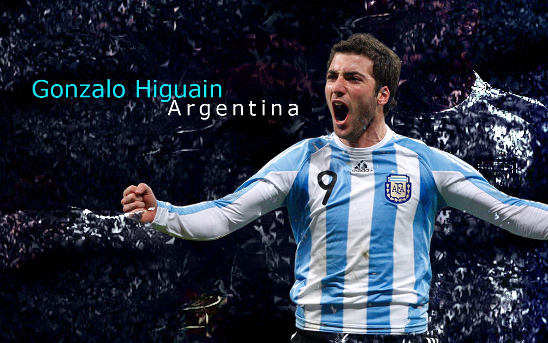 德约科维奇迎来十二赛季高光表现，德国队球迷沸腾！